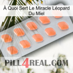 À Quoi Sert Le Miracle Léopard Du Miel 26